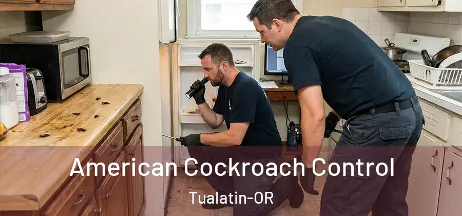 American Cockroach Control Tualatin-OR