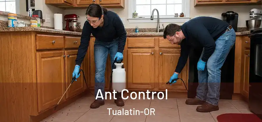  Ant Control Tualatin-OR