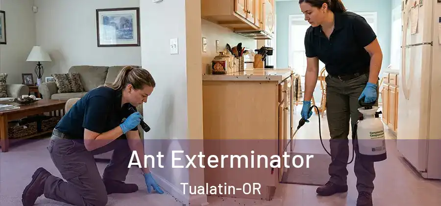 Ant Exterminator Tualatin-OR