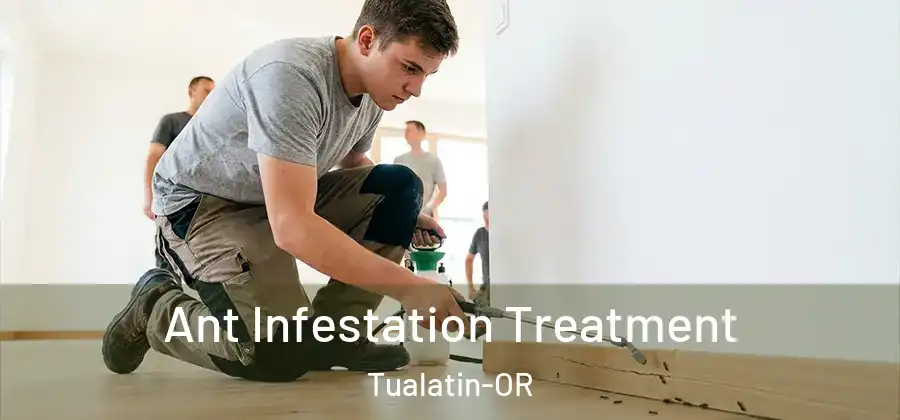 Ant Infestation Treatment Tualatin-OR