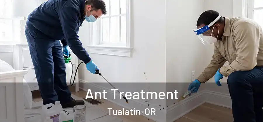 Ant Treatment Tualatin-OR