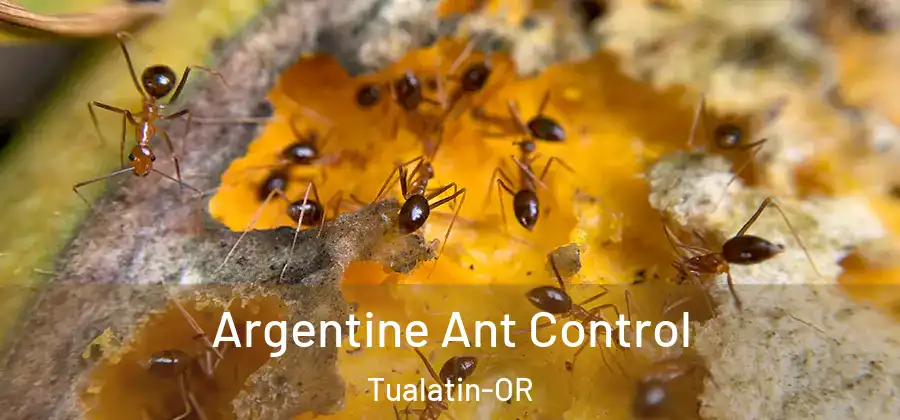  Argentine Ant Control Tualatin-OR