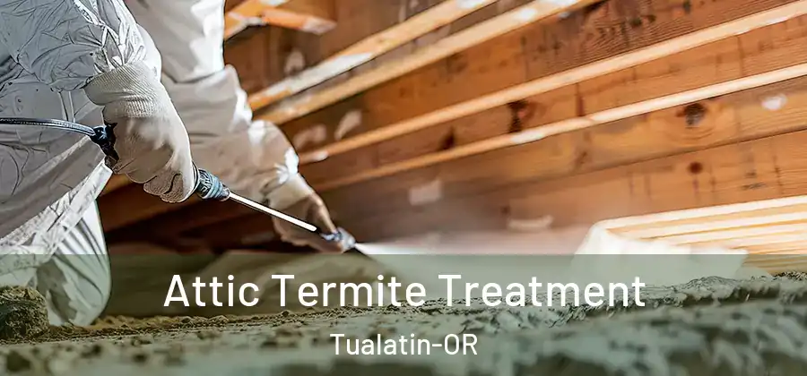 Attic Termite Treatment Tualatin-OR