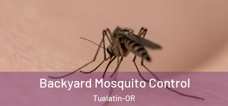 Backyard Mosquito Control Tualatin-OR
