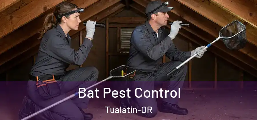 Bat Pest Control Tualatin-OR