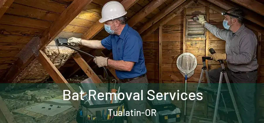 Bat Removal Services Tualatin-OR