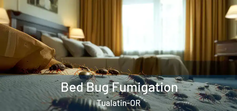 Bed Bug Fumigation Tualatin-OR
