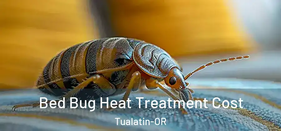  Bed Bug Heat Treatment Cost Tualatin-OR