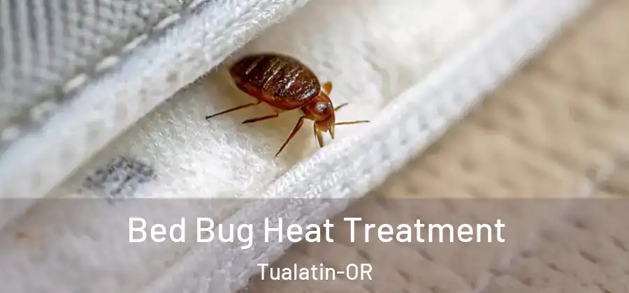 Bed Bug Heat Treatment Tualatin-OR