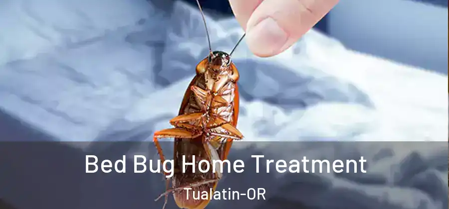 Bed Bug Home Treatment Tualatin-OR