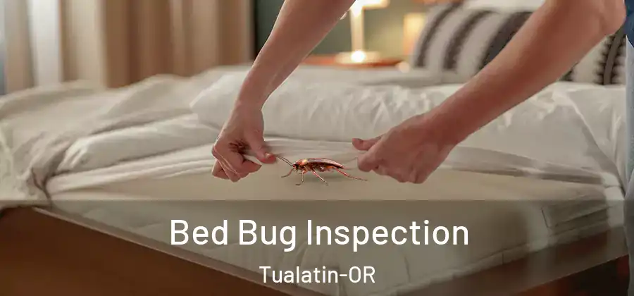 Bed Bug Inspection Tualatin-OR
