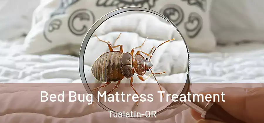  Bed Bug Mattress Treatment Tualatin-OR