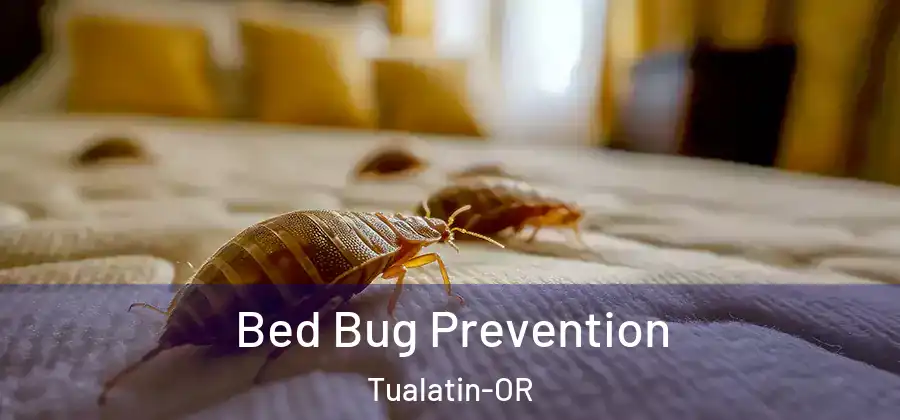 Bed Bug Prevention Tualatin-OR