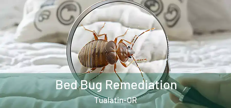 Bed Bug Remediation Tualatin-OR