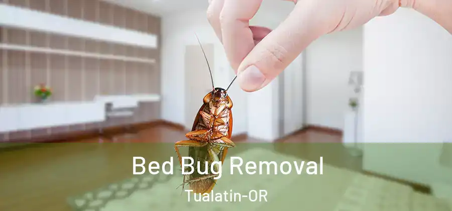  Bed Bug Removal Tualatin-OR