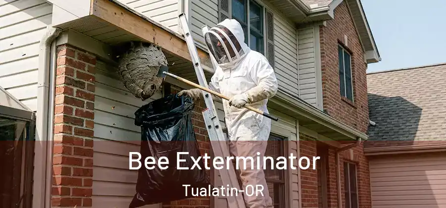 Bee Exterminator Tualatin-OR