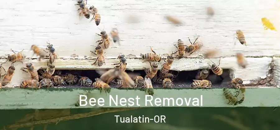 Bee Nest Removal Tualatin-OR