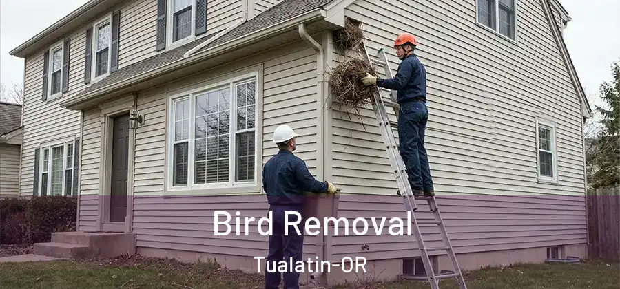 Bird Removal Tualatin-OR