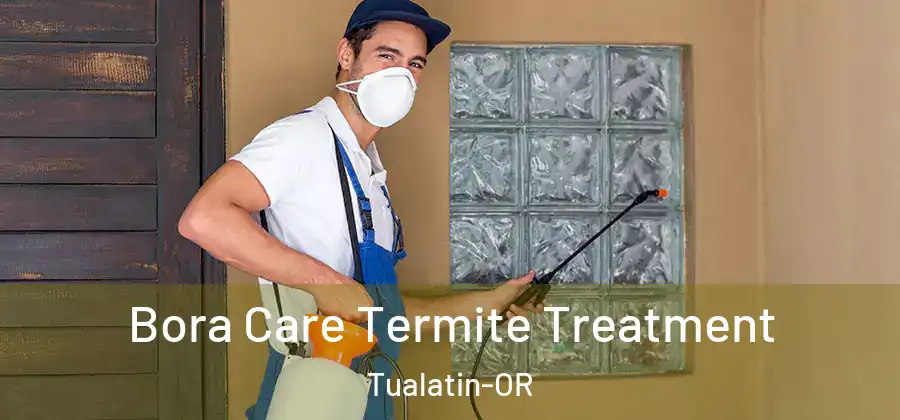  Bora Care Termite Treatment Tualatin-OR