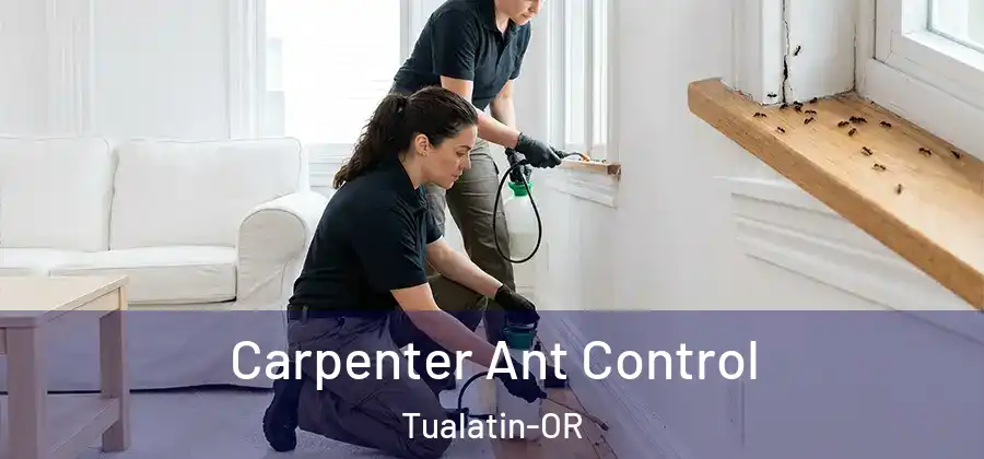 Carpenter Ant Control Tualatin-OR