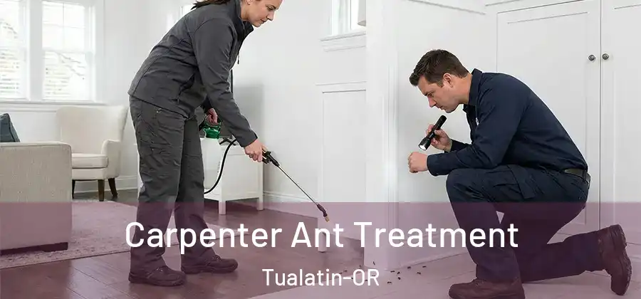 Carpenter Ant Treatment Tualatin-OR