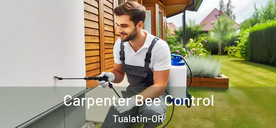 Carpenter Bee Control Tualatin-OR