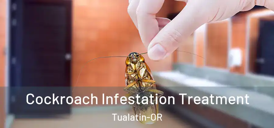Cockroach Infestation Treatment Tualatin-OR