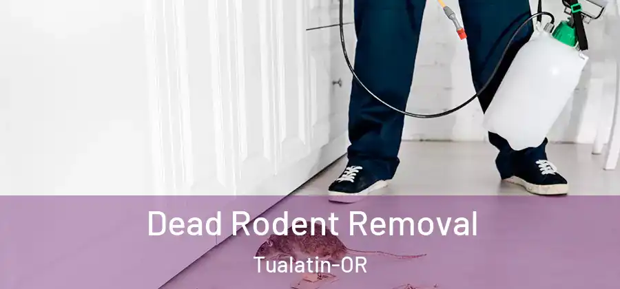Dead Rodent Removal Tualatin-OR