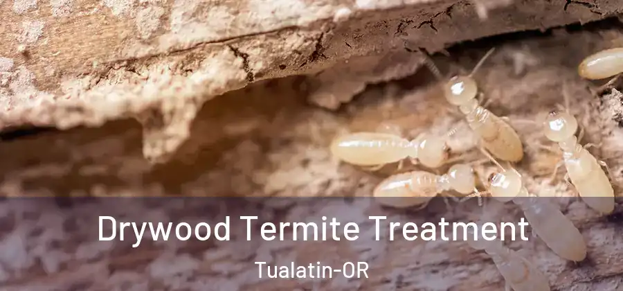 Drywood Termite Treatment Tualatin-OR