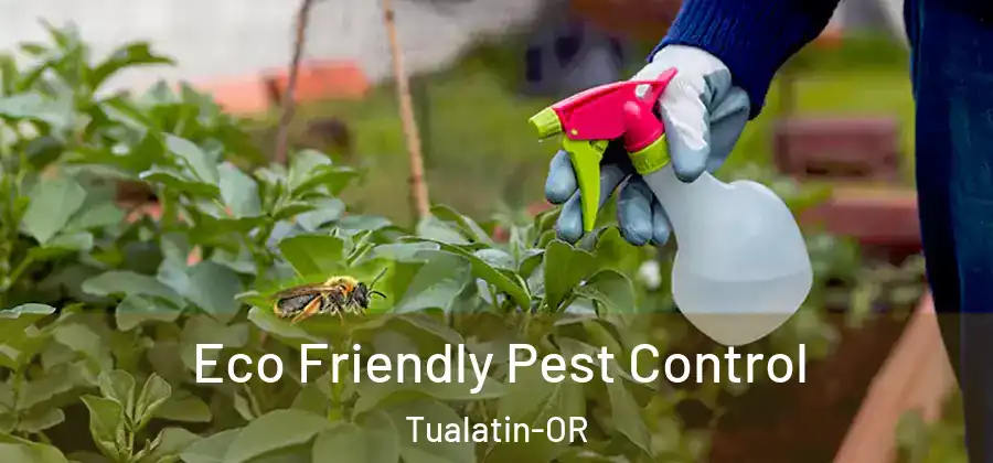 Eco Friendly Pest Control Tualatin-OR
