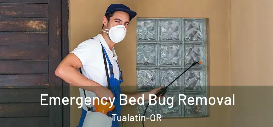 Emergency Bed Bug Removal Tualatin-OR