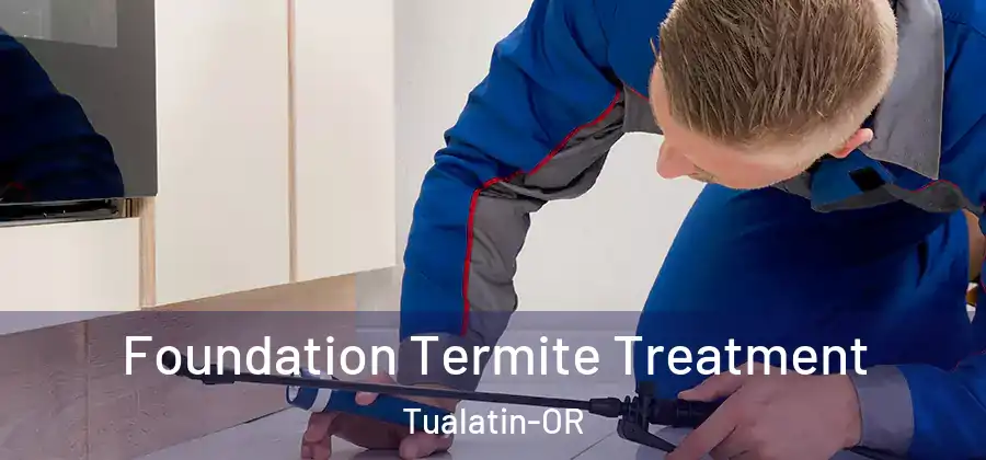 Foundation Termite Treatment Tualatin-OR