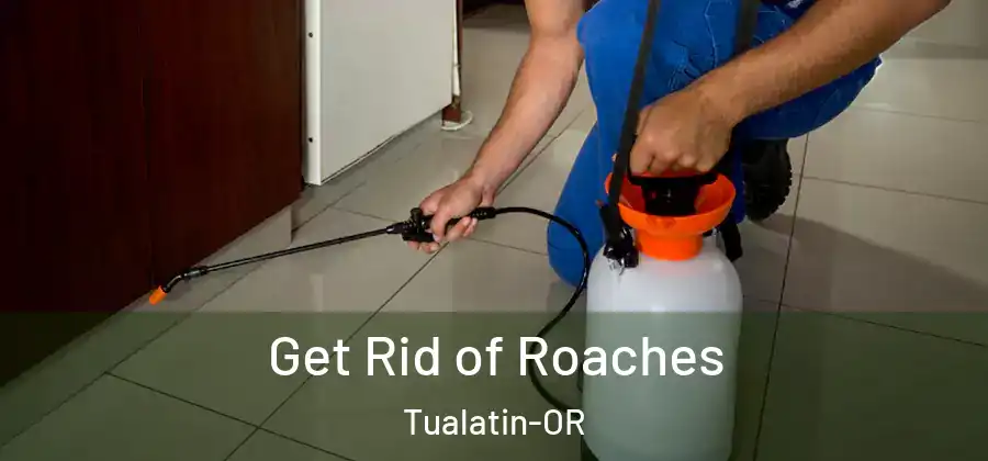 Get Rid of Roaches Tualatin-OR