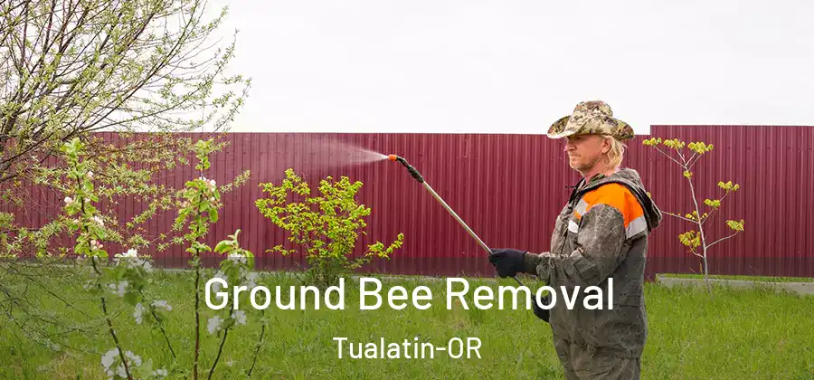 Ground Bee Removal Tualatin-OR