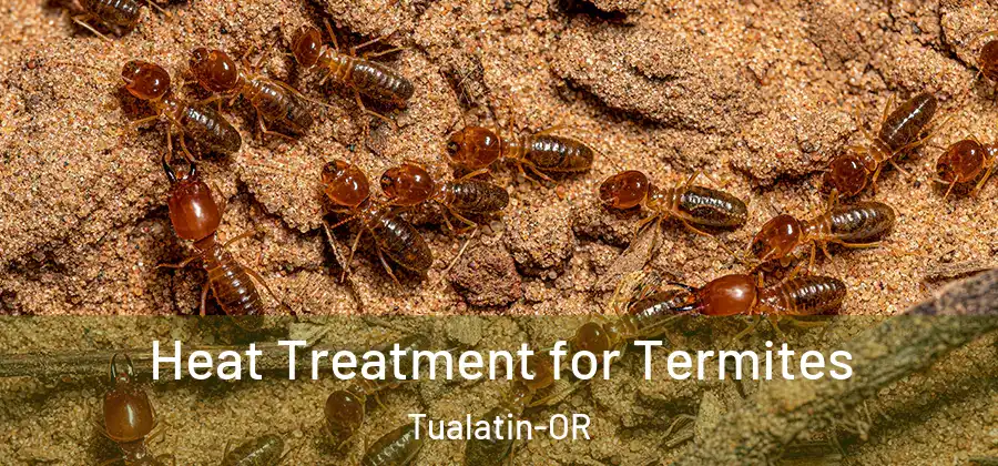 Heat Treatment for Termites Tualatin-OR