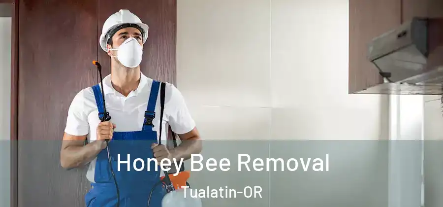 Honey Bee Removal Tualatin-OR