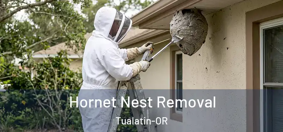  Hornet Nest Removal Tualatin-OR