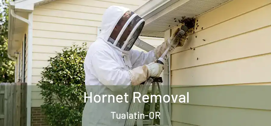 Hornet Removal Tualatin-OR