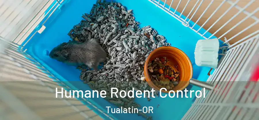 Humane Rodent Control Tualatin-OR