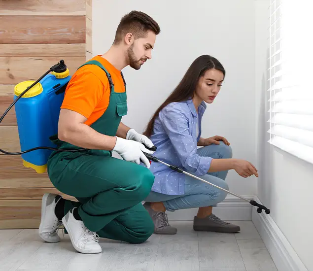 Trusted Affordable Bed Bug Treatment Experts in Tualatin, OR