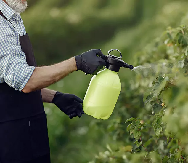 Your Proven Mosquito Treatment Company in Tualatin, OR