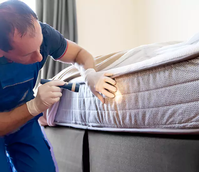 Trusted Bed Bug Cost Experts in Tualatin, OR
