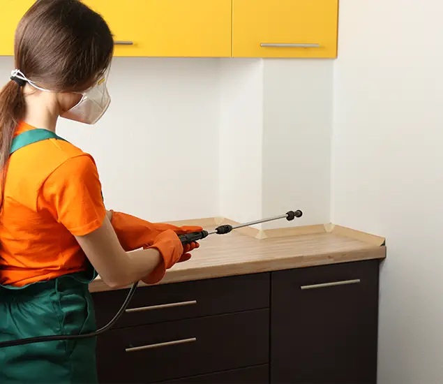 Trusted Bed Bug Pest Control Specialist in Tualatin, OR