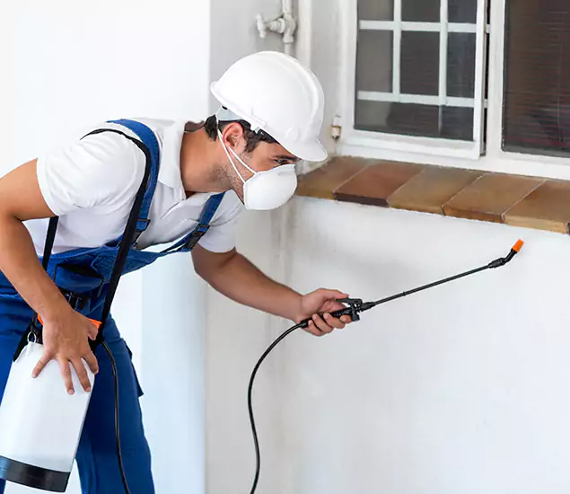 Your Professional Cockroach Exterminator in Tualatin, OR