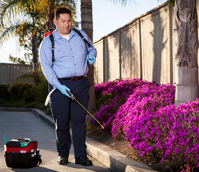 About Our Eco Safe Pest Control Experts in Tualatin, OR