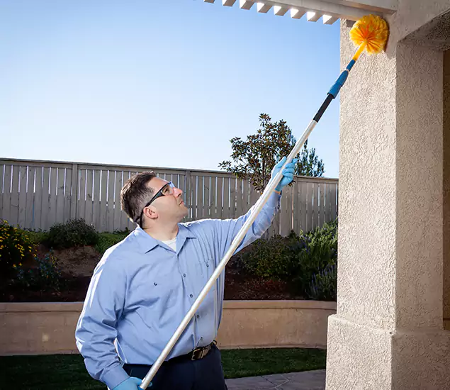 Trusted Experts in Tualatin OR for Formosan Termite Treatment and Black Termite Control