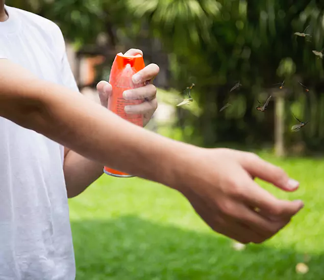 Your Best Indoor Bug Killer Team in Tualatin, OR