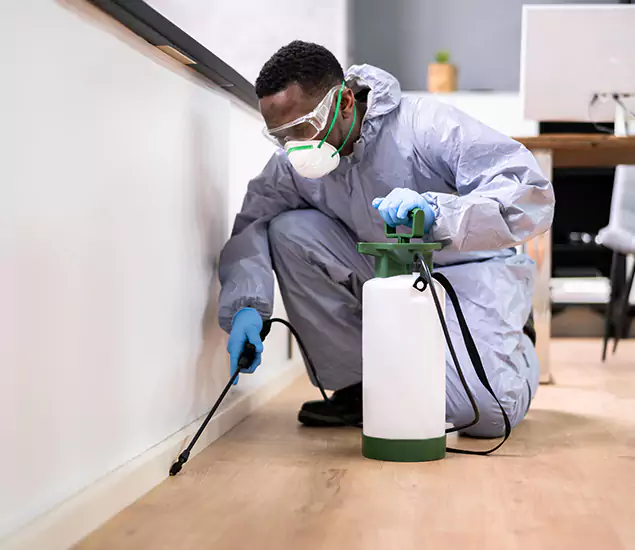 Leading Industrial Pest Control Experts Serving Tualatin, OR