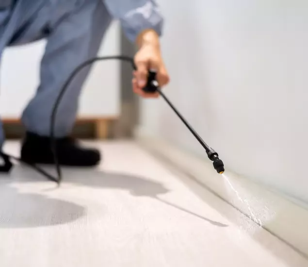 About Our Liquid Termite Treatment Experts in Tualatin, OR