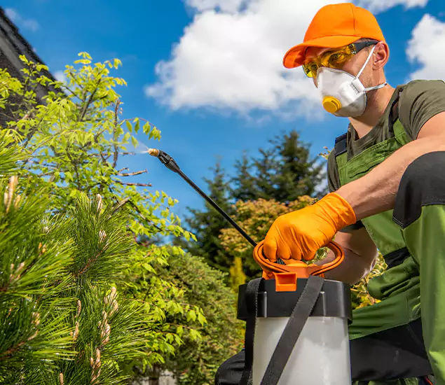 Your Mosquito Repellent Barrier Service in Tualatin, OR